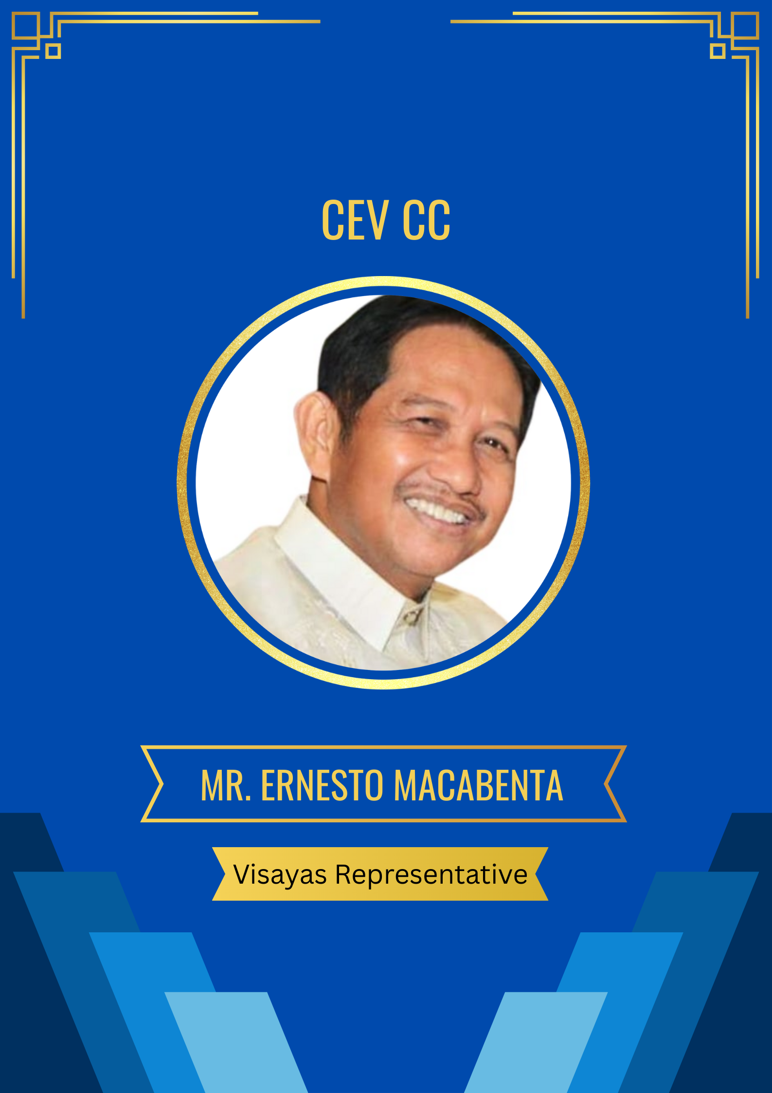 Visayas Representative